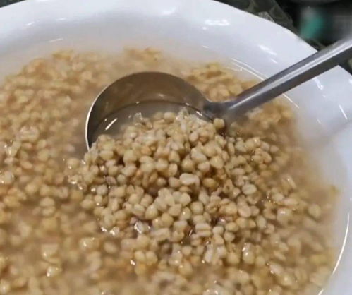 渦陽(yáng)麥仁酵兒 那一口，真滋潤(rùn)