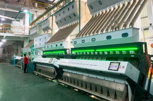 筑牢安全根基 農(nóng)產(chǎn)品加工企業(yè)掀起初級(jí)產(chǎn)品綠色管理新浪潮