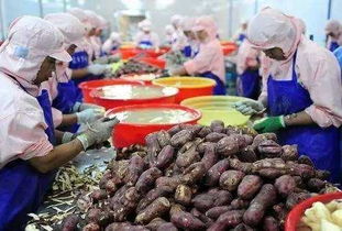 2017年，錯(cuò)過這些初級(jí)農(nóng)產(chǎn)品好項(xiàng)目，農(nóng)民朋友們或?qū)⒑蠡? />
</span>
<span id=